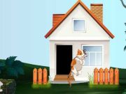 Curious Cat Escape เกมออนไลน์
