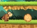 กล้วยป่า เกมออนไลน์ กล้วยป่า เกมออนไลน์