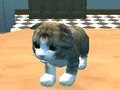 Cat Simulator: งานฝีมือคิตตี้!  เกมออนไลน์