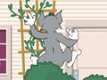 Tom und Jerry: Wasserbomben Wahnsinn เกมออนไลน์