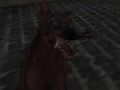 กองทัพนาซีซอมบี้  เกมออนไลน์