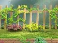 ความลับของสวนจดหมายที่ซ่อนอยู่  เกมออนไลน์