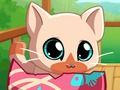 My Pocket Pets แมวคิตตี้  เกมออนไลน์