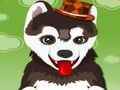 อาบน้ำให้สุนัขแสนน่ารัก เกมออนไลน์ อาบน้ำให้สุนัขแสนน่ารัก เกมออนไลน์