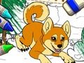 Color Me Pets 2 เกมออนไลน์