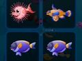 การ์ดปลา  เกมออนไลน์