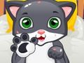 หมอแมวน้อย เกมออนไลน์