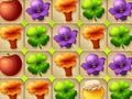 การแข่งขันป่า 3  เกมออนไลน์