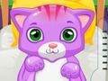 สัตวแพทย์แมว เกมออนไลน์ สัตวแพทย์แมว เกมออนไลน์