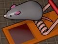 ให้อาหารหนู  เกมออนไลน์