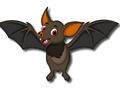 หน่วยความจำค้างคาวน่ารัก เกมออนไลน์