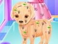 การผ่าตัดลูกสุนัขเบบี้เอลซ่า เกมออนไลน์