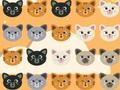 แมวสุดน่ารักจับคู่ 3 เกมออนไลน์