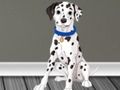 หนีสัตวแพทย์ 2 เกมออนไลน์