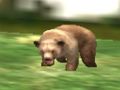 นักล่าสัตว์ซาฟารี  เกมออนไลน์
