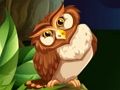 นักกีฬานกฮูก  เกมออนไลน์
