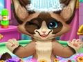 อาบน้ำลูกแมว เกมออนไลน์ อาบน้ำลูกแมว เกมออนไลน์
