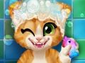 อาบน้ำลูกแมวขึ้นสนิม  เกมออนไลน์