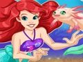 ร้านขายสัตว์เลี้ยงเมอร์เมด เกมออนไลน์ ร้านขายสัตว์เลี้ยงเมอร์เมด เกมออนไลน์