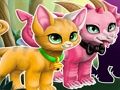 ผู้ผลิตสัตว์เลี้ยงที่มีมนต์ขลัง เกมออนไลน์
