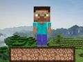 การอยู่รอดของไมน์คราฟต์  เกมออนไลน์