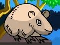 Rat Land Escape เกมออนไลน์