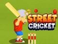 คริกเก็ตถนน เกมออนไลน์ คริกเก็ตถนน เกมออนไลน์
