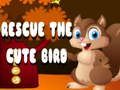 ช่วยชีวิตนกน่ารัก  เกมออนไลน์