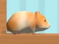 หนูแฮมสเตอร์เขาวงกตออนไลน์  เกมออนไลน์