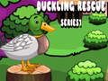 Duckling Rescue Series 1  เกมออนไลน์