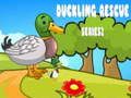Duckling Rescue Series 2  เกมออนไลน์