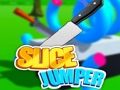สไลซ์จัมเปอร์ เกมออนไลน์