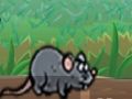 นักสะสมชีส  เกมออนไลน์