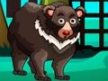 หนีหมี  เกมออนไลน์