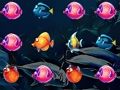 โลกของปลา  เกมออนไลน์