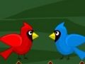 toco toucan หลบหนี เกมออนไลน์