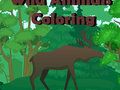 หนังสือระบายสีสัตว์ป่า เกมออนไลน์