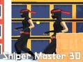 Sniper Master 3D เกมออนไลน์