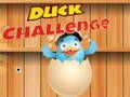 ความท้าทายเป็ด  เกมออนไลน์