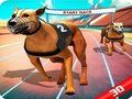 การแข่งขันสุนัขบ้า  เกมออนไลน์