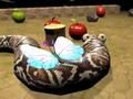 โนวาเซิร์ค 3D เกมออนไลน์