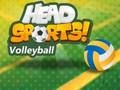 กีฬาวอลเลย์บอลหัว เกมออนไลน์