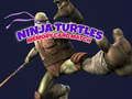 จับคู่การ์ดหน่วยความจำเต่านินจา  เกมออนไลน์