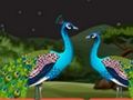 คู่ Parrot Escape  เกมออนไลน์