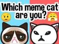 คุณคือแมวมีมประเภทไหน? เกมออนไลน์ คุณคือแมวมีมประเภทไหน? เกมออนไลน์
