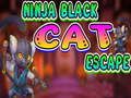 การหลบหนีแมวดำนินจา เกมออนไลน์