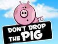 อย่าทิ้งหมู  เกมออนไลน์