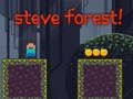 สตีฟ ฟอเรสต์  เกมออนไลน์
