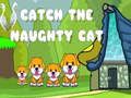 จับแมวซน  เกมออนไลน์
