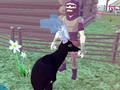 Deer Simulator 3D เกมออนไลน์